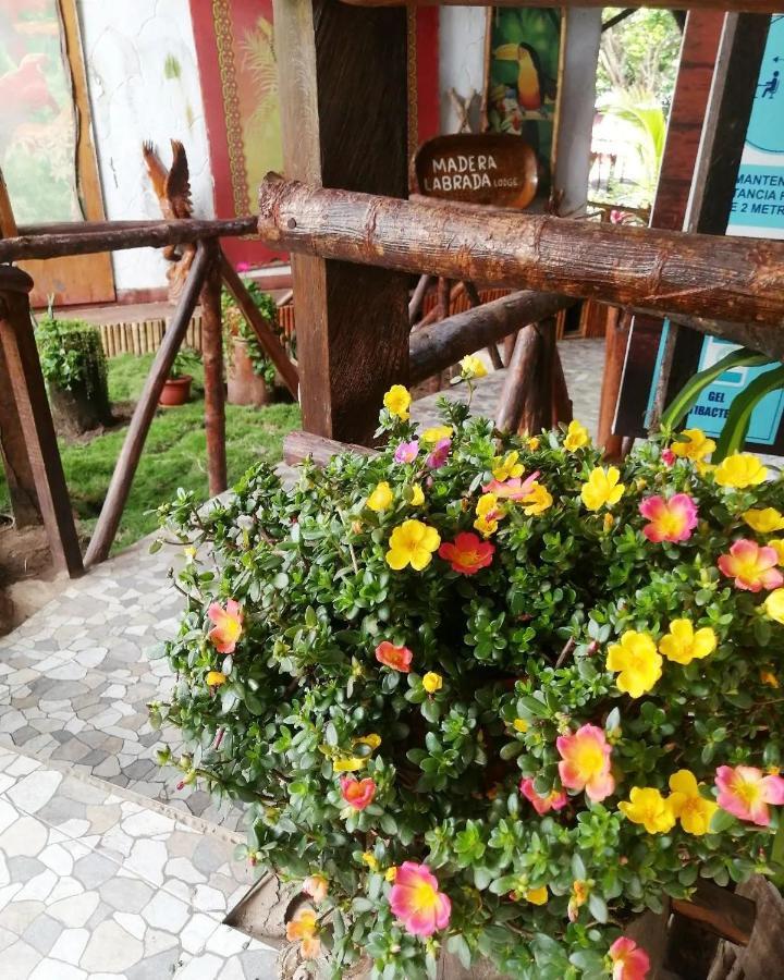 Madera Labrada Ecologico Lodge Tarapoto
